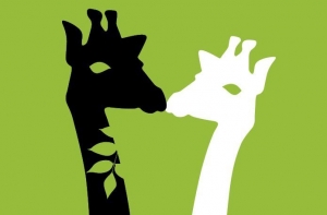 giraffenkuss solo_quer Der Giraffenkuss der ökoligenta